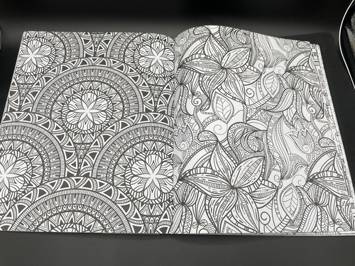 NEW Creative Charm Coloring Book with Colored Pencils For Adults - Picture 9 of 12