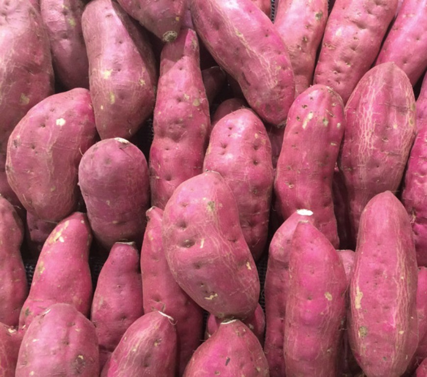 3 LBS Fresh Japanese Murasaki Sweet Potatoes Fresh Yam Root Free
