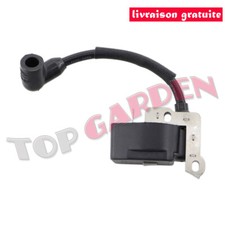 Bobine d'allumage pour ventilateur Ryobi RY09056 GM09000 Remplace 850108013