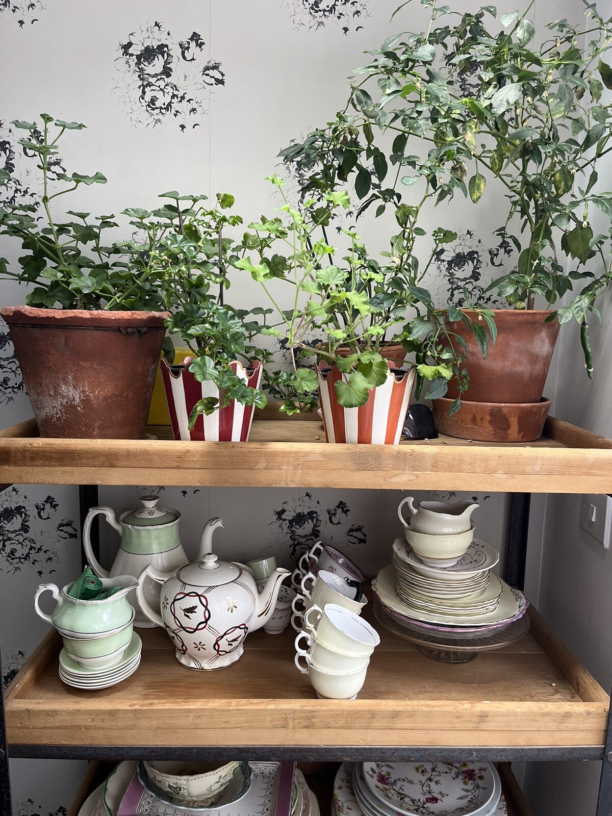 Vintage Industrial Shoe Trolley Steel Frame, Metal Castors, 4 Wooden