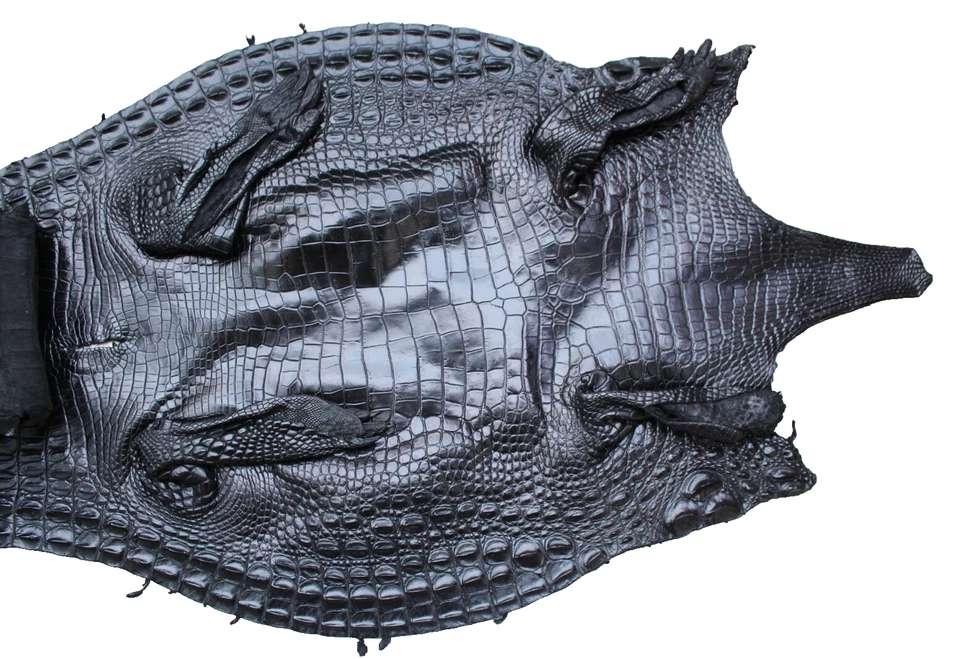US Stock - Black Real Crocodile Leather Skin Hide Exotic Pelt Taxidermy #S21 - Image 2 of 4