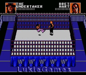 WWF Wrestlemania Steel Cage Challenge NES Nintendo Game