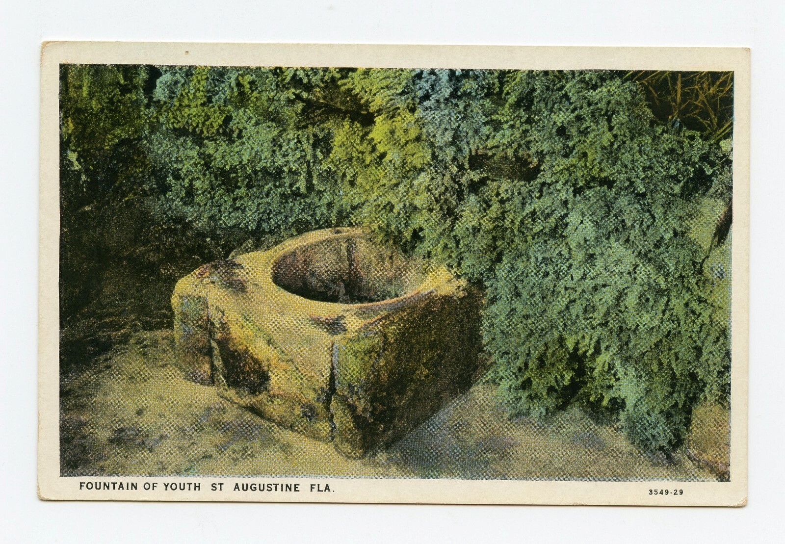Picture 5 of 6