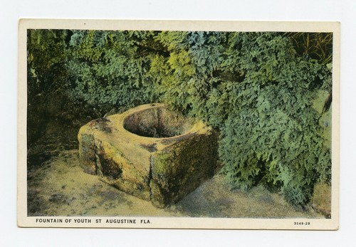 Lot of 5 Different Views of St. Augustine, Florida Color Postcards - Picture 5 of 6