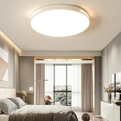 30CM Modern LED Ceiling Light Minimalist Round Panel Down Flush Mount Lights