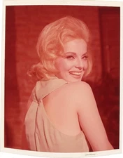 Virna Lisi Glamour Photo Shoot 1960's Original 5x4 Transparency