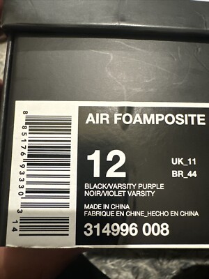 Size 12 - Nike Air Foamposite One 2017 Eggplant | eBay