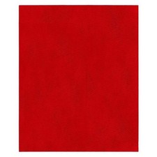 Diablo SandNet 11 in. L X 9 in. W 80 Grit Ceramic Sanding Sheet 5 pk