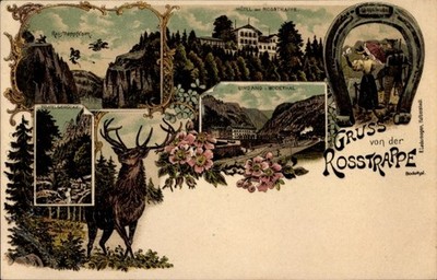 Litho Thale im Harz, Rosstrappe, Rosstrappfelsen, Hotel, Bodetal - 4648545
