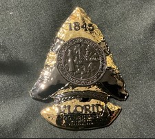 Florida Governor Detail FDLE Arrowhead Challenge Coin - Protective Service Gold