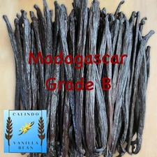 2oz Fresh Madagascar Vanilla Beans For Extract Grade B - 6" Vanilla Extract