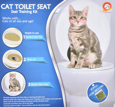 potty training cat kit