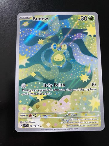 Budew 221/217 Ascended Heroes Illustration Rare Holo Pokemon Card - NM