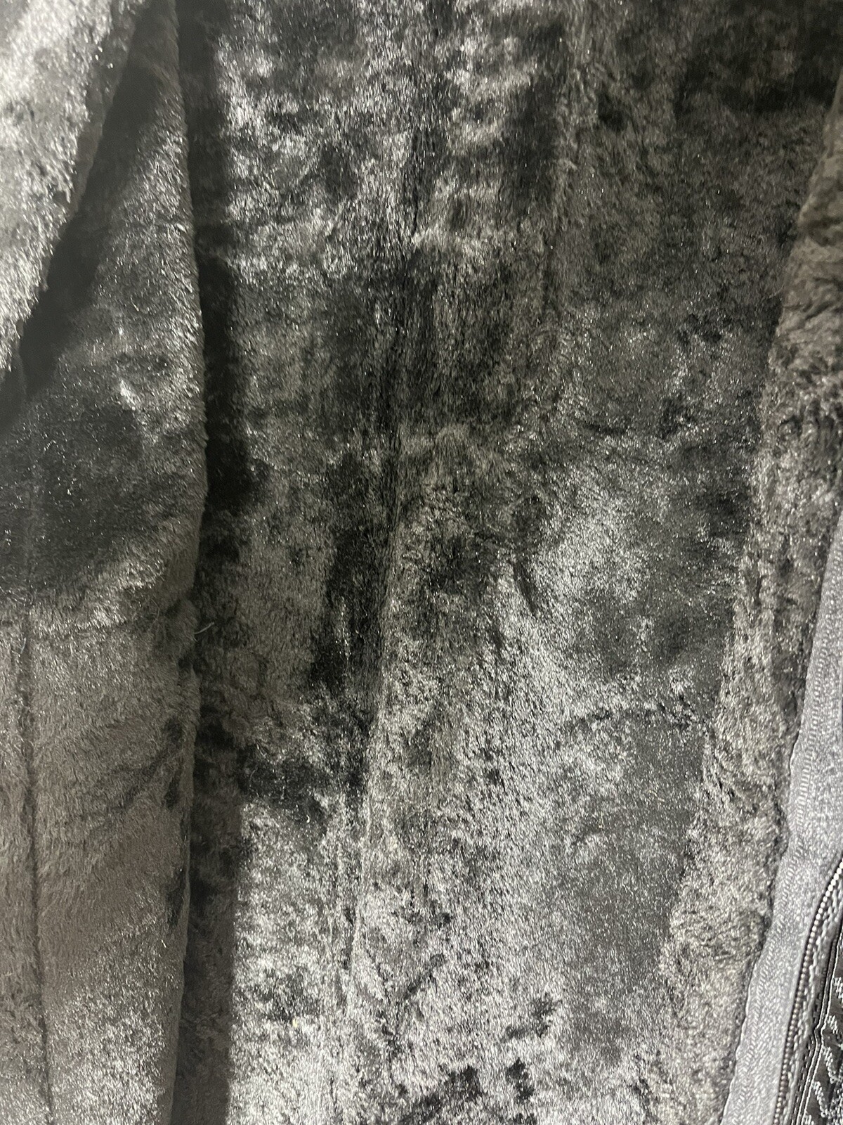 Picture 4 of 5