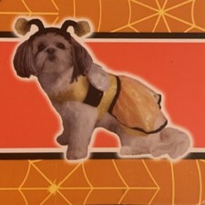 NEW Cute " BEE " Pet DOG Halloween COSTUME Spooky Village  FREE SHIPPING 
