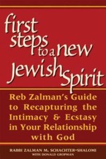 First Steps to a New Jewish Spirit: Reb Zalman's Guide to Recapturing the Intima