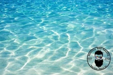 4.4gal Ocean SeaWater Natural LIVE Caribbean Saltwater Marine 