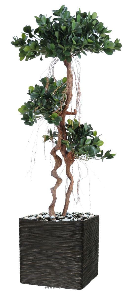 Ficus Panda artificiel 140cm tronc déformé pour décoration salon et bureau zen