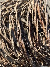 Authentic Rusty Barb Wire 100 Feet. Sharp old rustic look for crafting decor.
