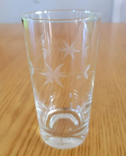 Etched Iced Tea Tumbler Drinking Glasses Flower Leaves Heavy Bottom 5.5" Tall