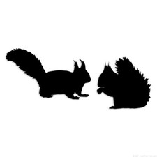 Squirrels - Decal Sticker - Multiple Colors  Sizes - ebn6796