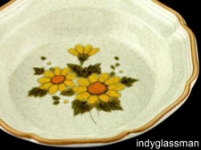 Mikasa Garden Club SUNNY SIDE EB802 Soup & Pasta Bowl NMC (8 left)