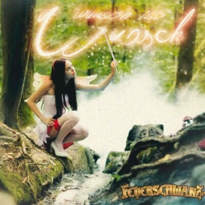 FEUERSCHWANZ - WUNSCH IST WUNSCH   CD NEU