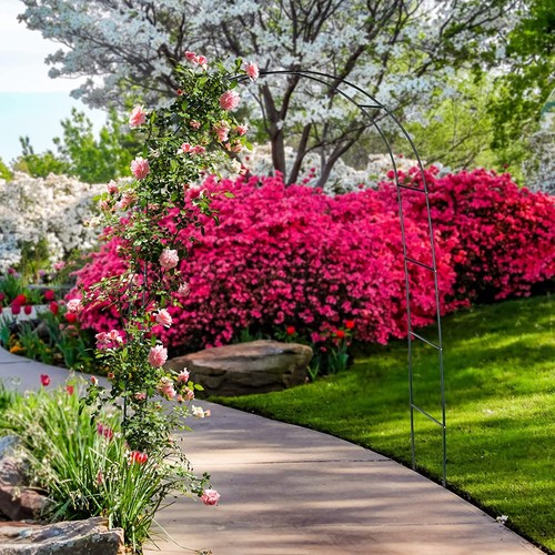 Arco da giardino per rose piante rampicanti traliccio pergolato vite decorazione - Foto 3 di 5