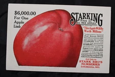STARK BRO'S ADVERTISING INK BLOTTER ~ STARKING RED APPLE ~ LOUISIANA, MO