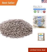 2 Pounds of Lightly Salted Sunflower Seed Kernels - Healthy Snack, Allergen-Free
