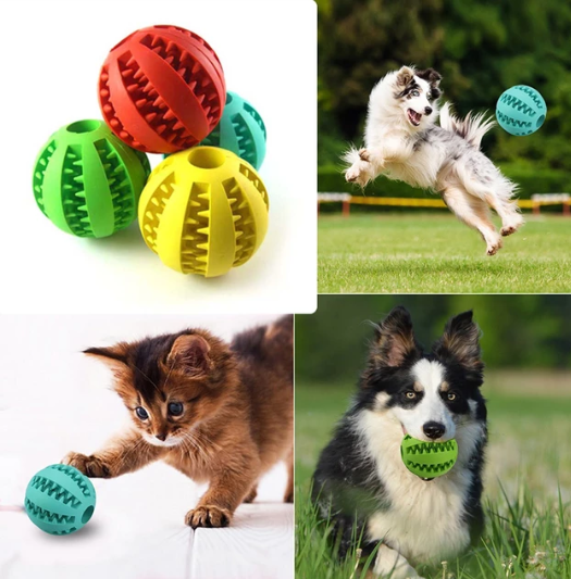 buster cube for dogs