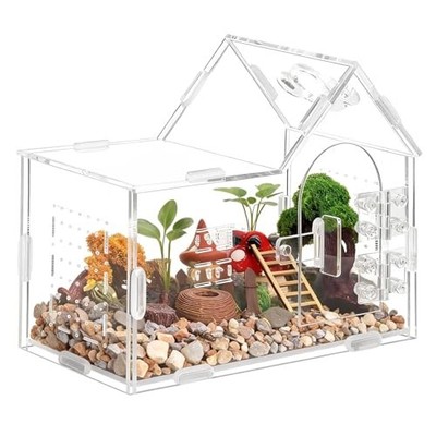 Acrylic Jumping Spider Enclosure Terrarium for Insects, Reptiles, and Small Pets