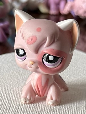 アンティーク　ピンクのねこちゃん Littlest Pet Shop Angora Cat Pink #1720 LPS FREE SHIPPING | eBay