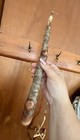 Bild 5 von 6