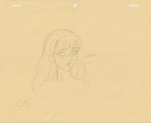 The Twelve Kingdoms Juuni Kokki Genga Douga Original Sketches Pierrot - Youko — photo 5