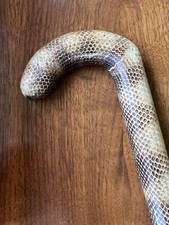 Circa 1900 Victorian Men  s Snakeskin Cane