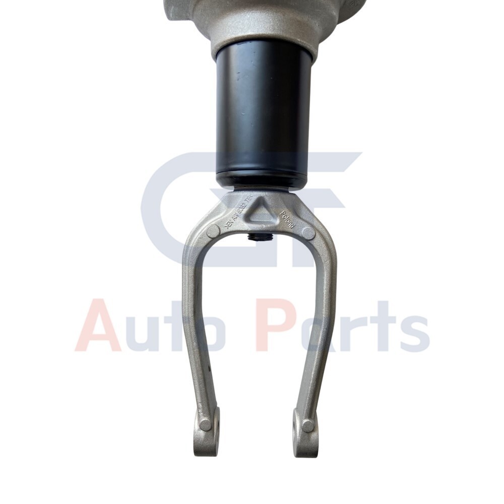 2x Front Shock Struts Assembly w/Magnetic Ride For Audi R8 V8 V10 4S3 4S9 2015-