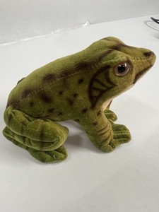 La Princesse Naveen Et La Grenouille Grenouille