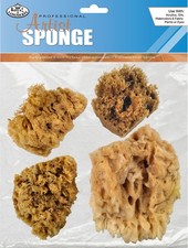 Natural Ocean Artist Sponges 4/Pkg 3 Wool  1 Jumbo