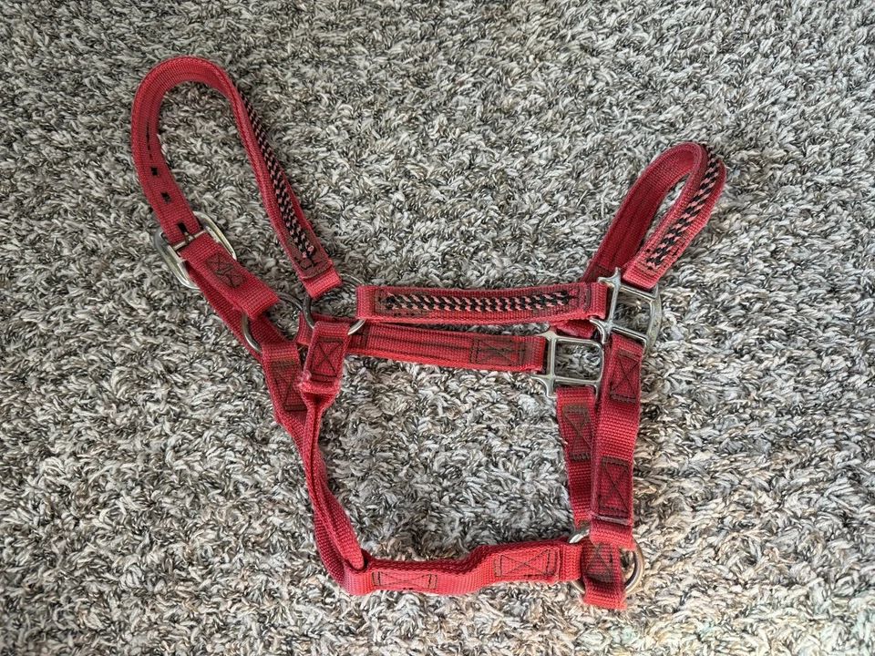 Caballo halter de nailon negro y rojo tamaño completo Foto 2 de 4