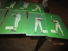 1973 Johnny Pro Baltimore Orioles Baseball Card Lot (9) -see photos — photo 5
