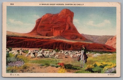 A Navajo Sheep Herder Canyon DE Chelly AZ 1941 Postcard TS-321