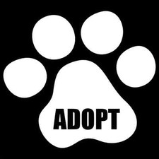 ADOPT Paw Vinyl Decal / Sticker 2(TWO) Pack
