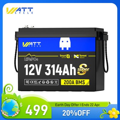 12V 314Ah 300Ah LiFePO4 Lithium Battery 200A BMS Active Balancing Solar Off-grid