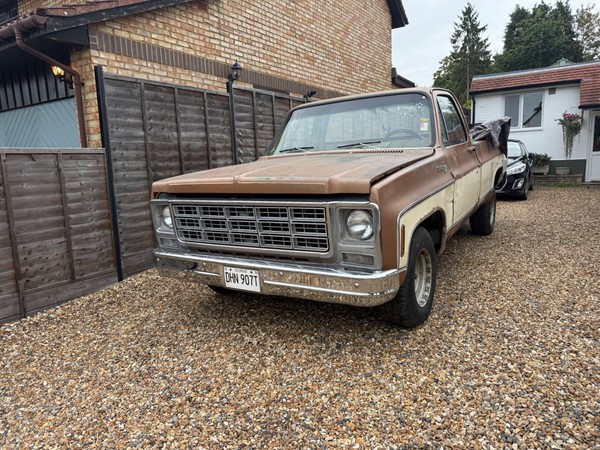 eBay - 1979 Chevrolet C20 Pickup Truck...