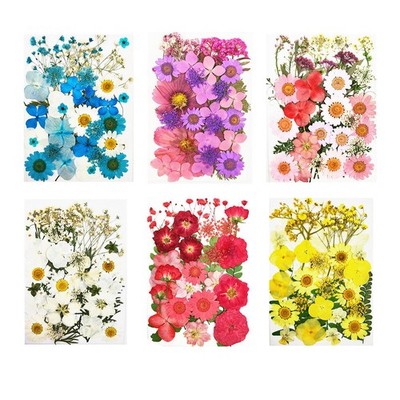 1 Beutel getrocknete gepresste Blumen Blütenblätter Großpackung Kit Handwerk Epoxidharz Schmuckherstellung
