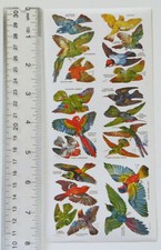 Violette Collection - KANEGLAI - 1 Sheet of BIRDS Stickers Y250