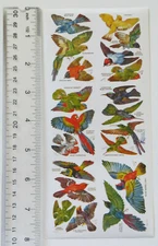Violette Collection - KANEGLAI - 1 Sheet of BIRDS Stickers #Y250