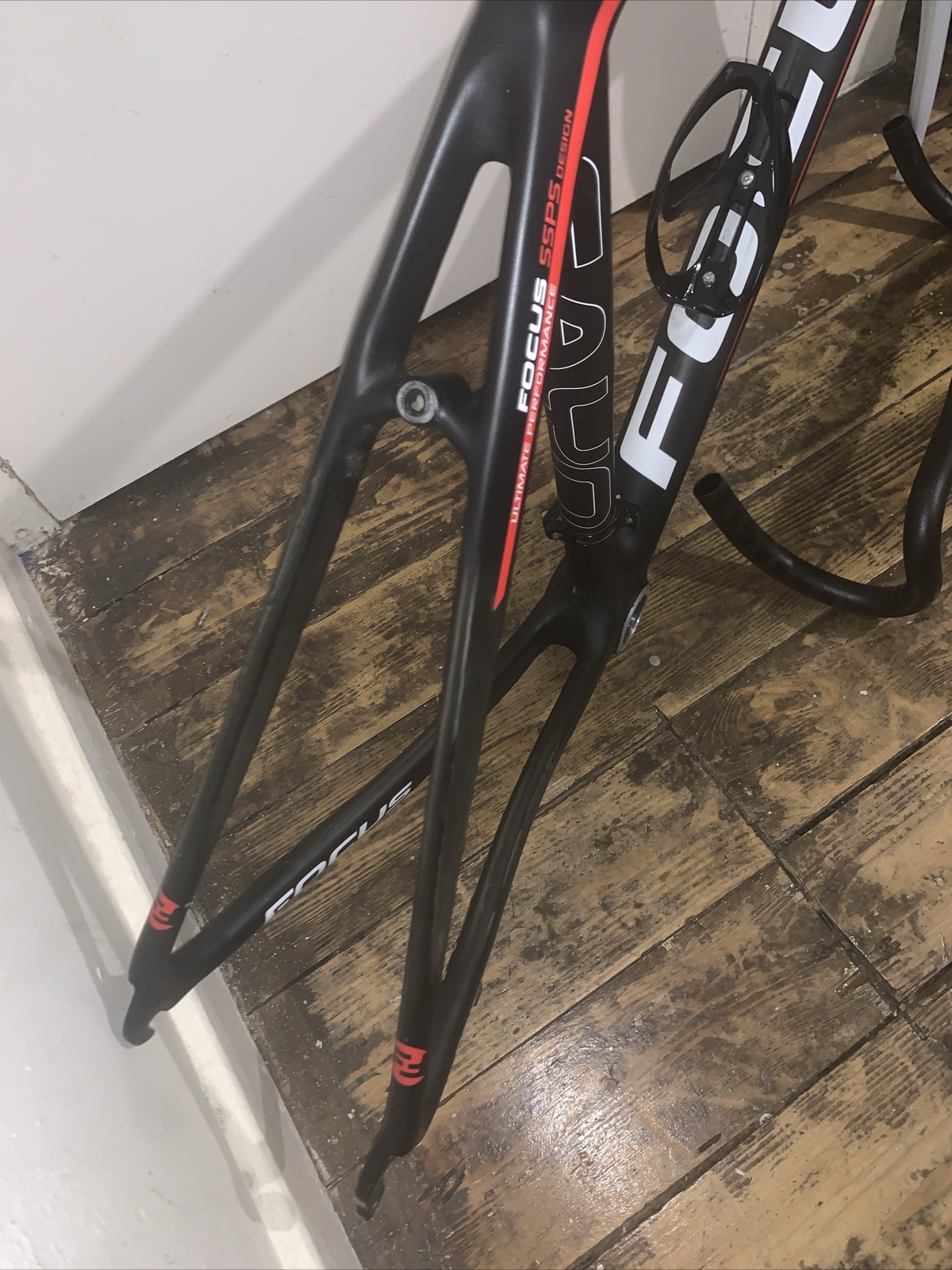 focus cayo frameset
