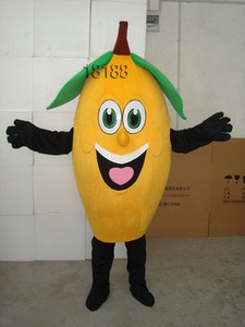 mango fruit fancy dress